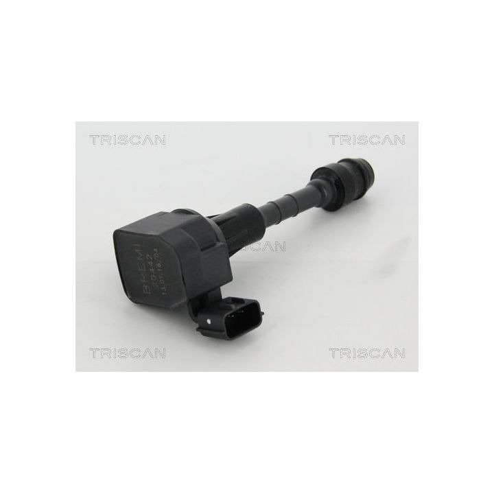 Ritė, uždegimas TRISCAN 8860 14018