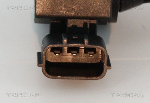 Ritė, uždegimas TRISCAN 8860 14018