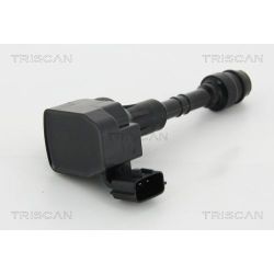 Ritė, uždegimas TRISCAN 8860 14020