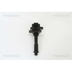 Ritė, uždegimas TRISCAN 8860 15008