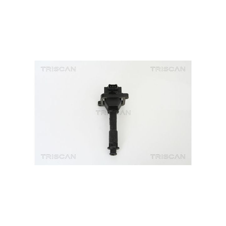 Ritė, uždegimas TRISCAN 8860 15008