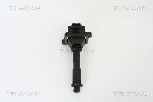 Ritė, uždegimas TRISCAN 8860 15008
