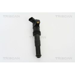 Ritė, uždegimas TRISCAN 8860 15009