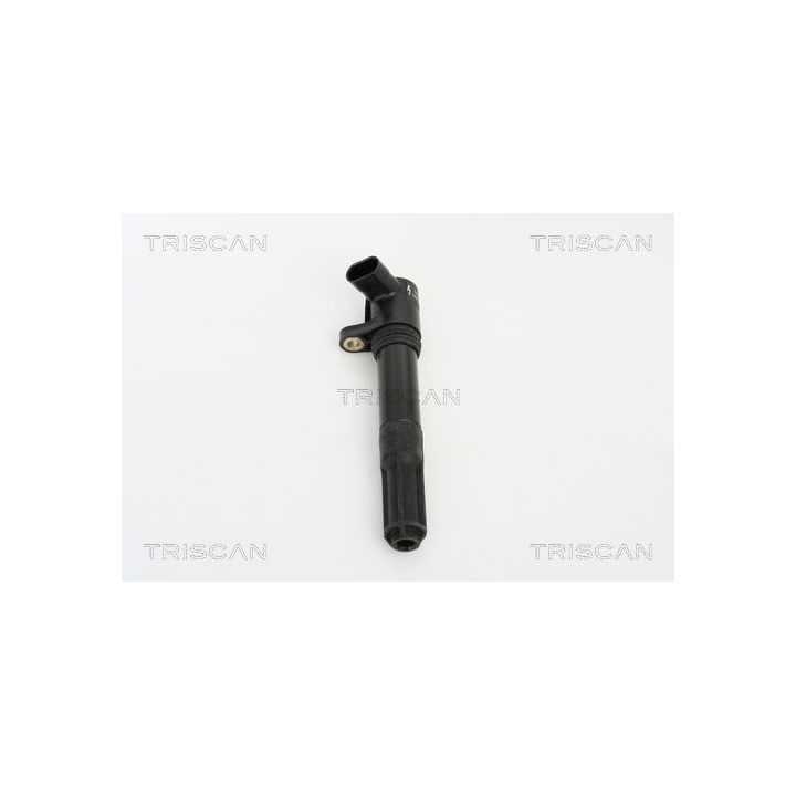 Ritė, uždegimas TRISCAN 8860 15010