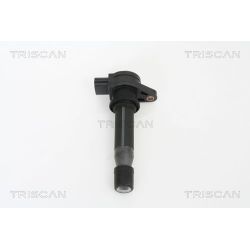 Ritė, uždegimas TRISCAN 8860 15011