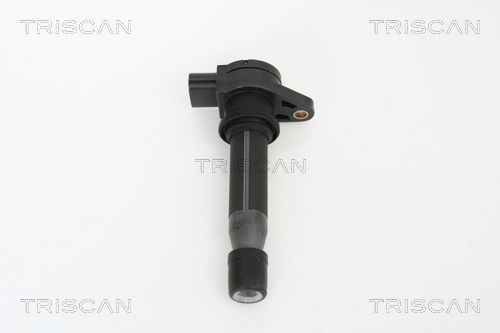 Ritė, uždegimas TRISCAN 8860 15011
