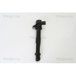 Ritė, uždegimas TRISCAN 8860 15012