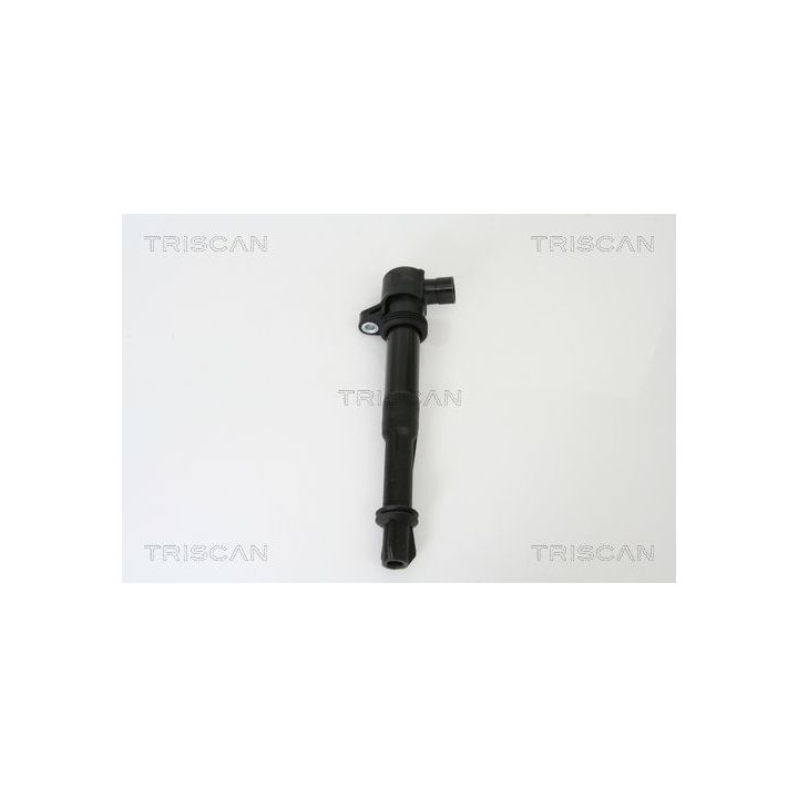 Ritė, uždegimas TRISCAN 8860 15012