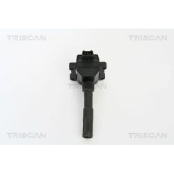 Ritė, uždegimas TRISCAN 8860 15016