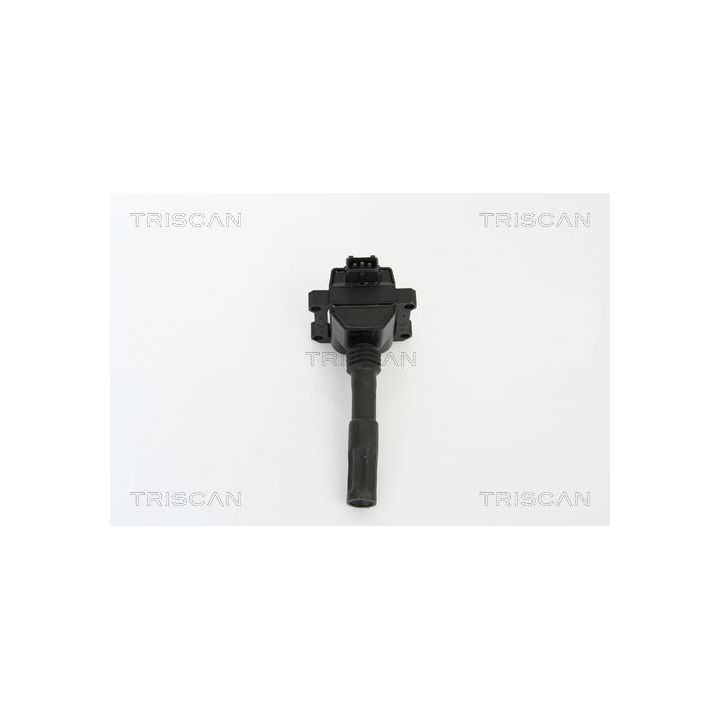 Ritė, uždegimas TRISCAN 8860 15016