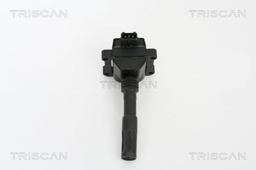 Ritė, uždegimas TRISCAN 8860 15016