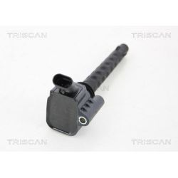 Ritė, uždegimas TRISCAN 8860 15018