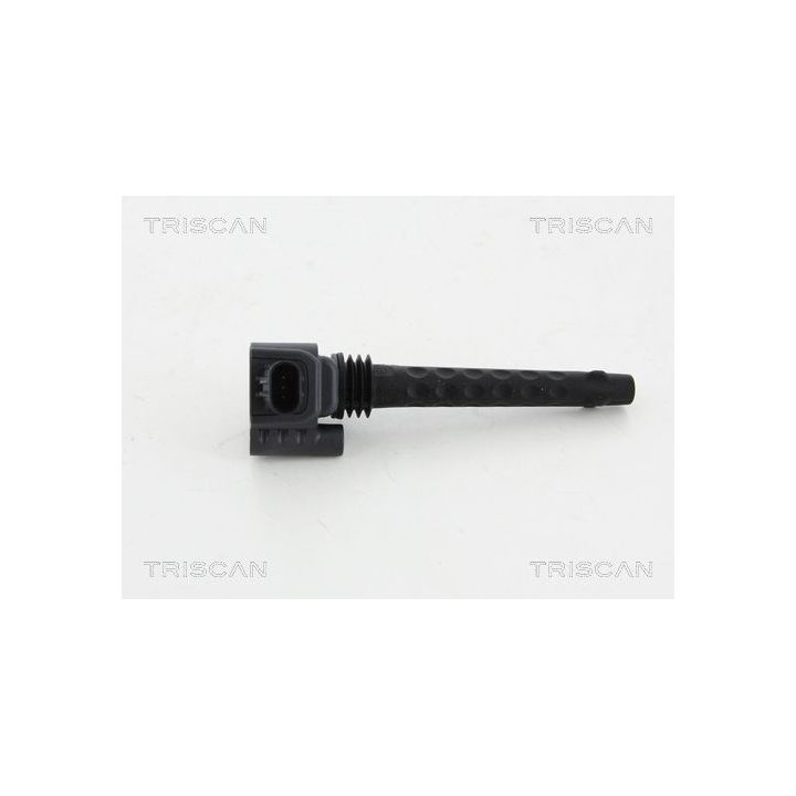 Ritė, uždegimas TRISCAN 8860 15019