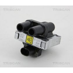 Ritė, uždegimas TRISCAN 8860 15020