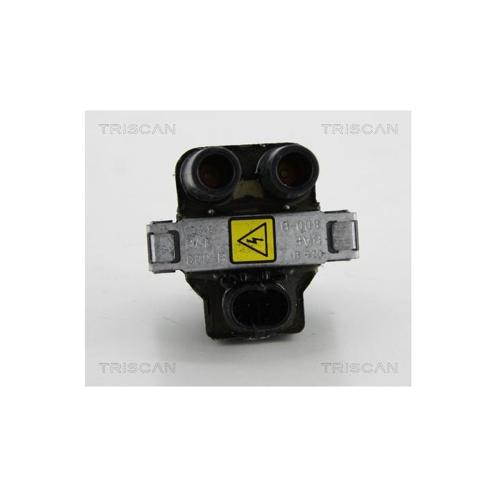 Ritė, uždegimas TRISCAN 8860 15020