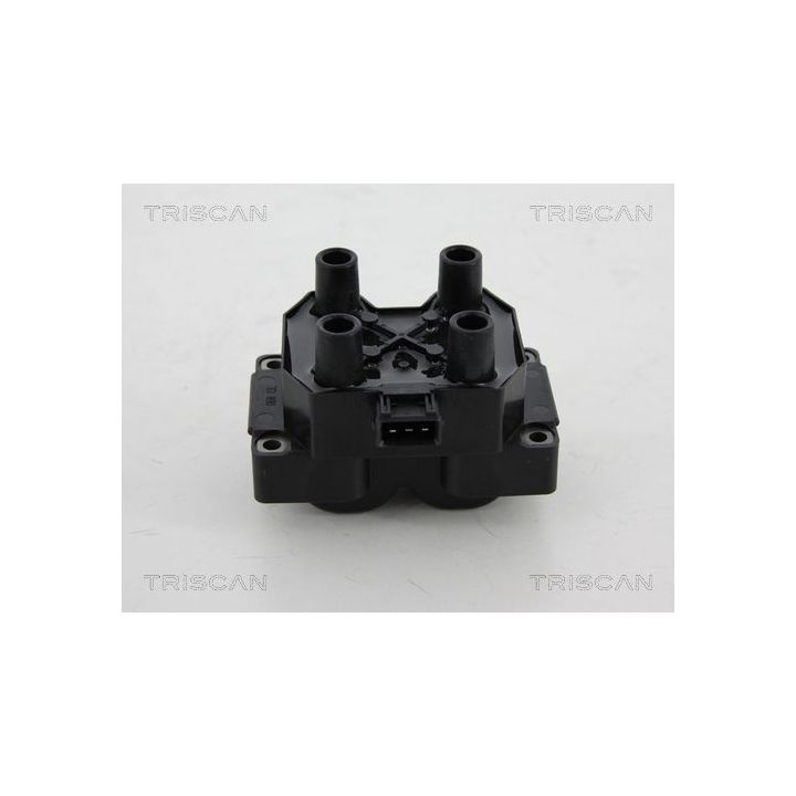 Ritė, uždegimas TRISCAN 8860 15021