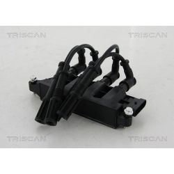 Ritė, uždegimas TRISCAN 8860 15023