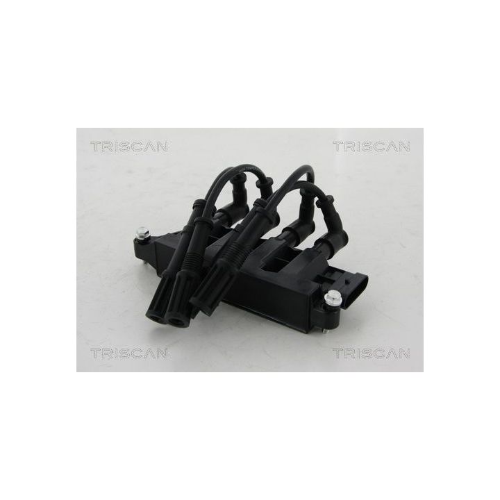 Ritė, uždegimas TRISCAN 8860 15023