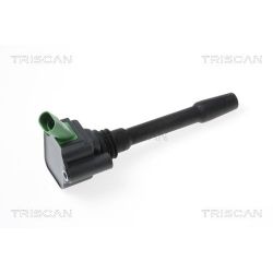 Ritė, uždegimas TRISCAN 8860 15024