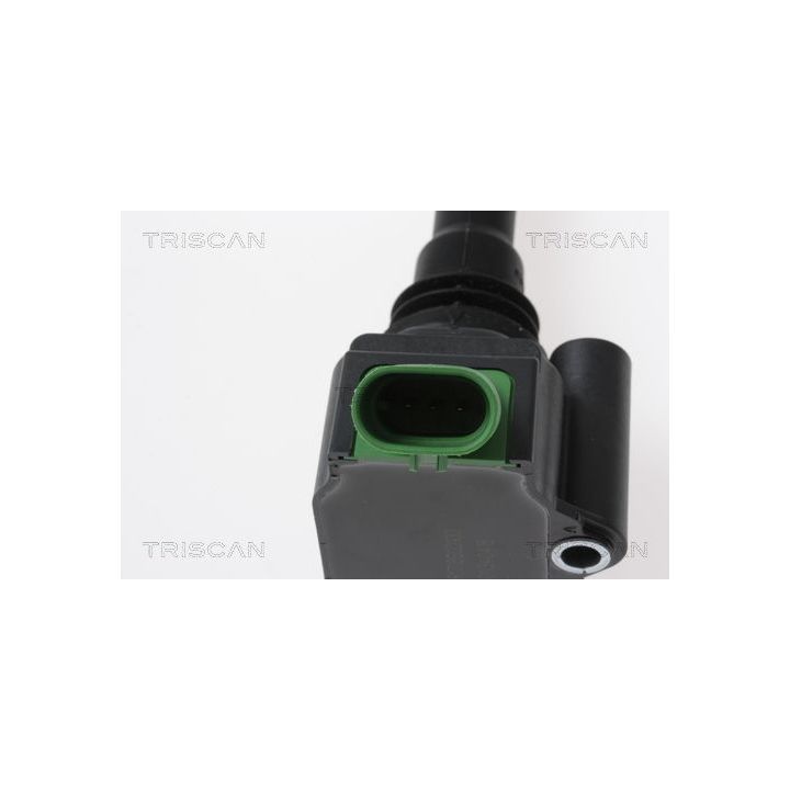 Ritė, uždegimas TRISCAN 8860 15024