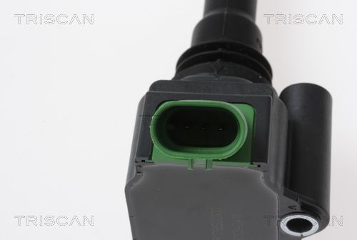 Ritė, uždegimas TRISCAN 8860 15024