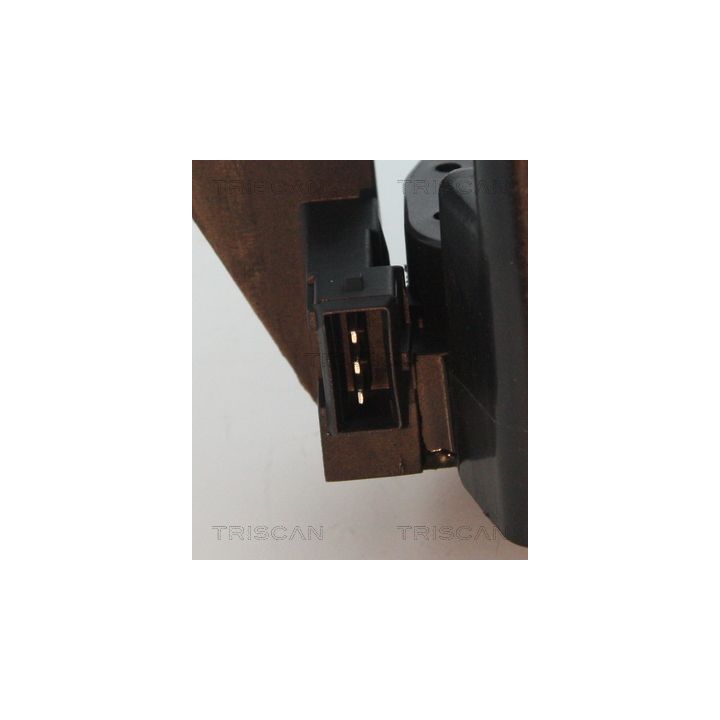 Ritė, uždegimas TRISCAN 8860 15026