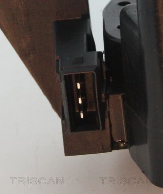 Ritė, uždegimas TRISCAN 8860 15026