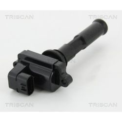 Ritė, uždegimas TRISCAN 8860 15027