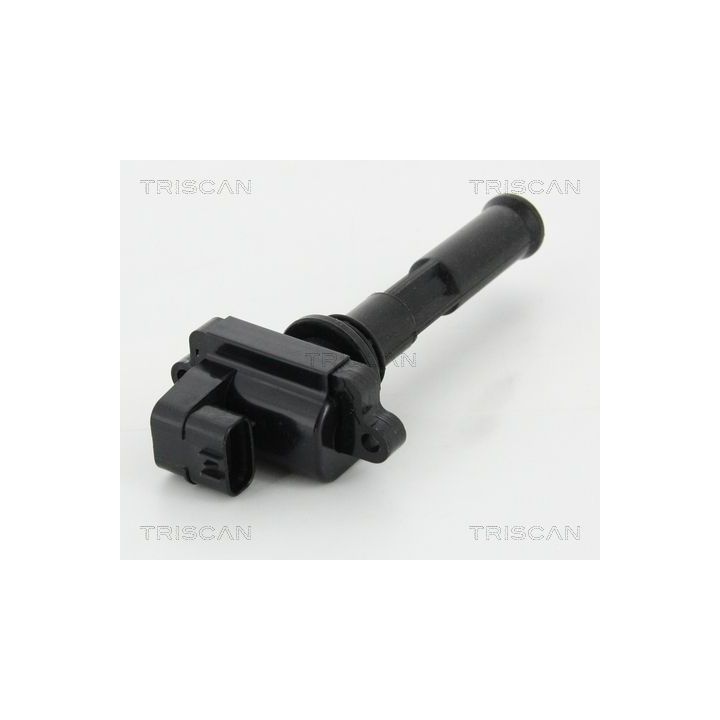 Ritė, uždegimas TRISCAN 8860 15027