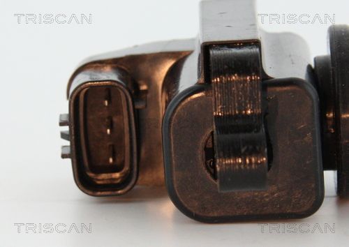 Ritė, uždegimas TRISCAN 8860 15027