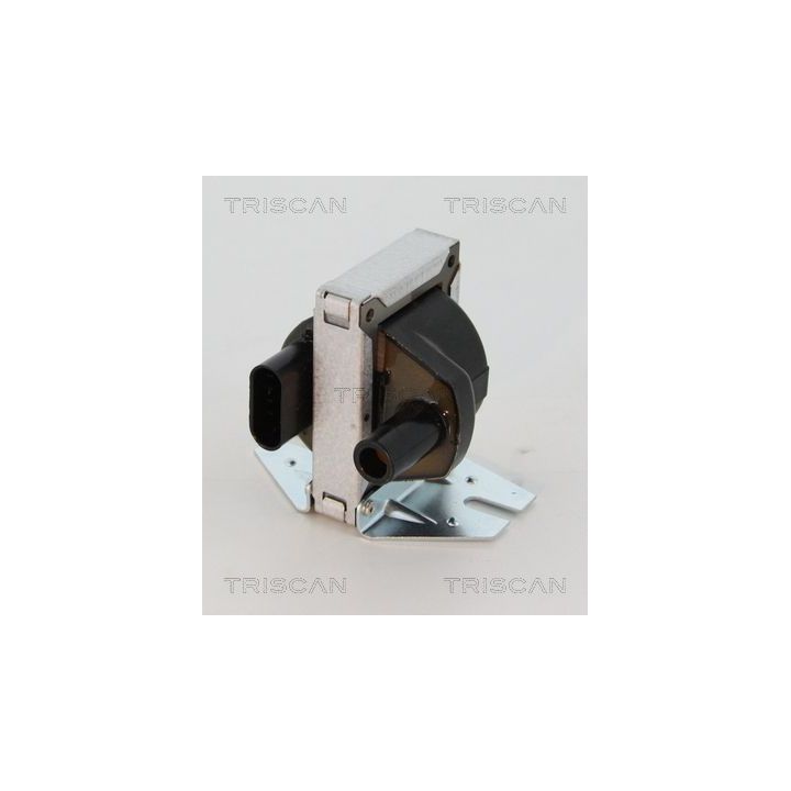 Ritė, uždegimas TRISCAN 8860 15028