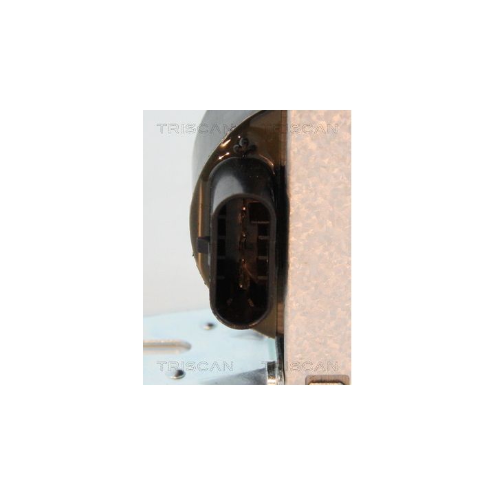 Ritė, uždegimas TRISCAN 8860 15028