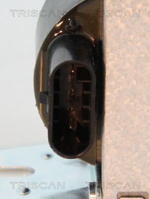 Ritė, uždegimas TRISCAN 8860 15028