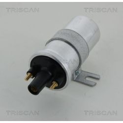 Ritė, uždegimas TRISCAN 8860 15029