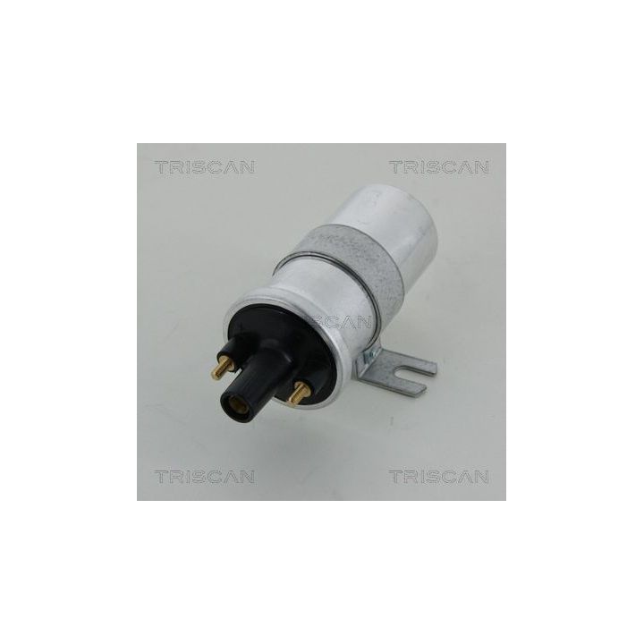 Ritė, uždegimas TRISCAN 8860 15029