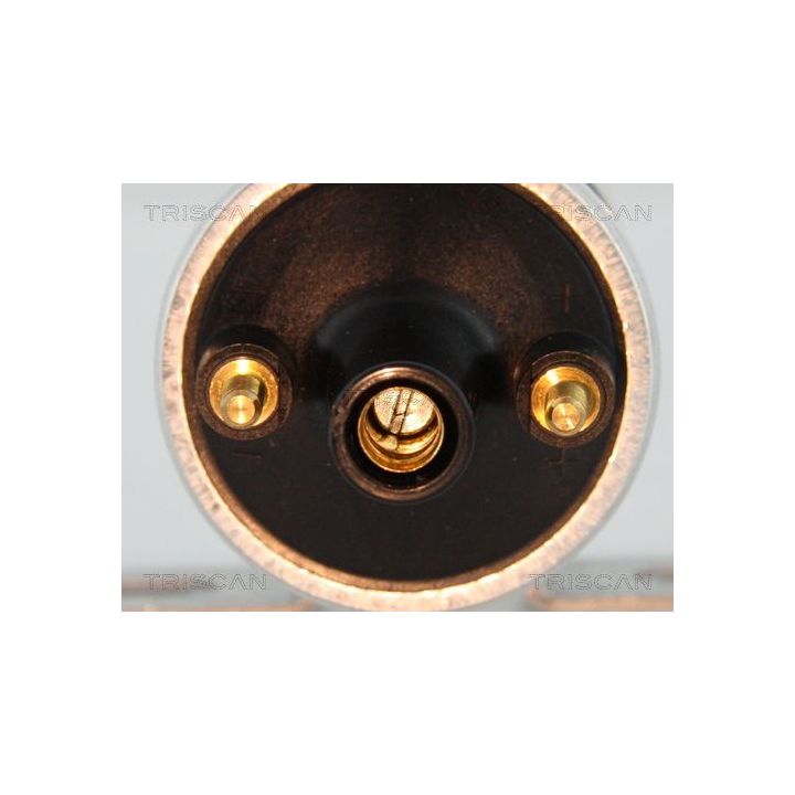 Ritė, uždegimas TRISCAN 8860 15029