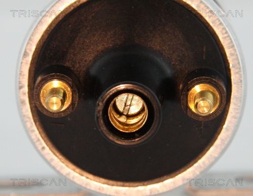 Ritė, uždegimas TRISCAN 8860 15029