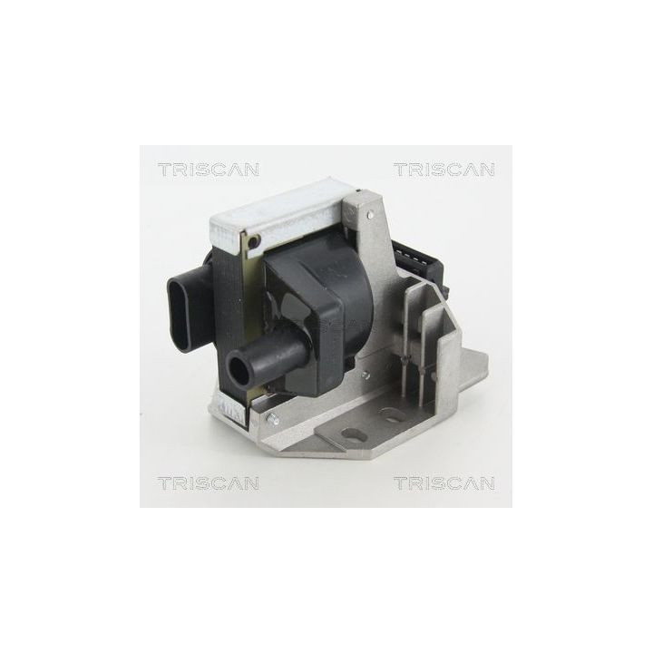 Ritė, uždegimas TRISCAN 8860 15030