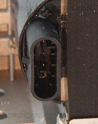 Ritė, uždegimas TRISCAN 8860 15030