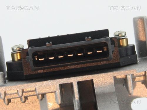 Ritė, uždegimas TRISCAN 8860 15030
