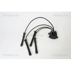 Ritė, uždegimas TRISCAN 8860 1514