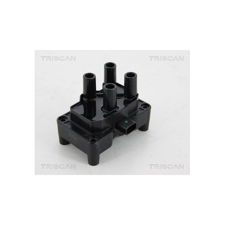 Ritė, uždegimas TRISCAN 8860 16026