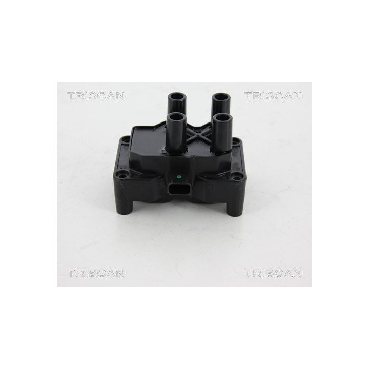 Ritė, uždegimas TRISCAN 8860 16026