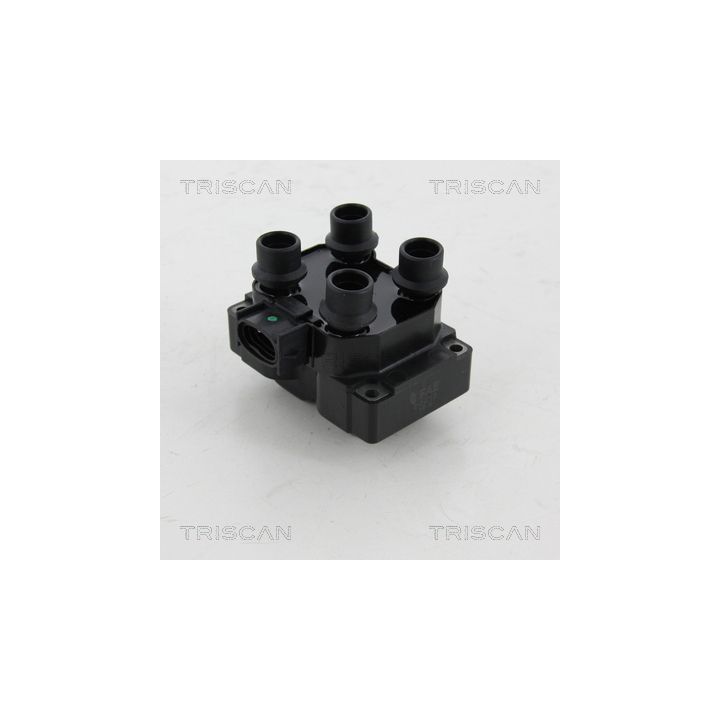 Ritė, uždegimas TRISCAN 8860 16027