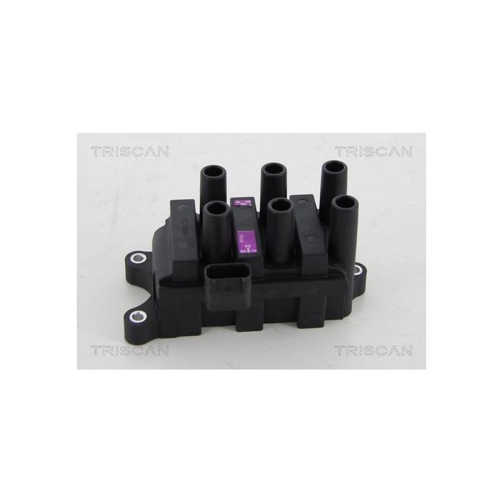 Ritė, uždegimas TRISCAN 8860 16028