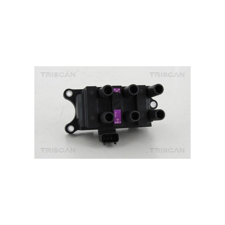 Ritė, uždegimas TRISCAN 8860 16028