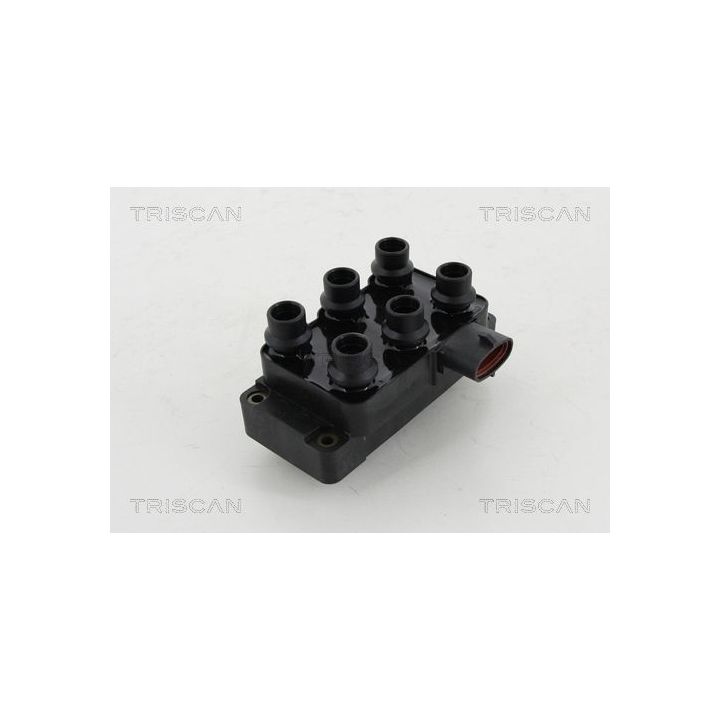 Ritė, uždegimas TRISCAN 8860 16030