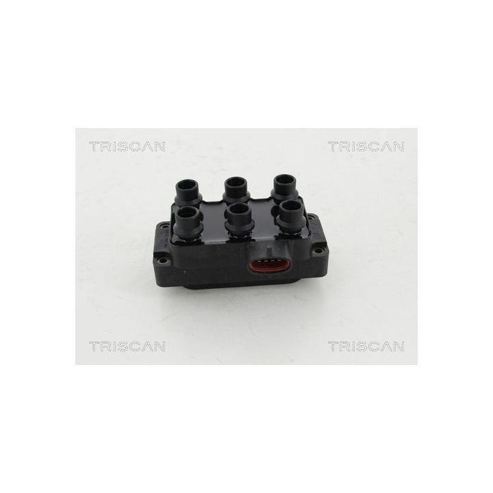 Ritė, uždegimas TRISCAN 8860 16030