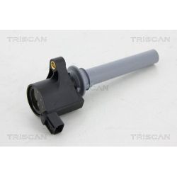 Ritė, uždegimas TRISCAN 8860 16032