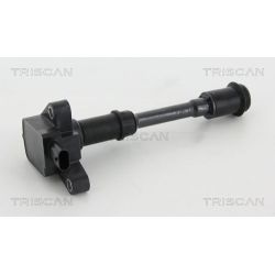 Ritė, uždegimas TRISCAN 8860 16035